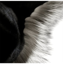 Load image into Gallery viewer, Silver Fox Hat Mink fur hat